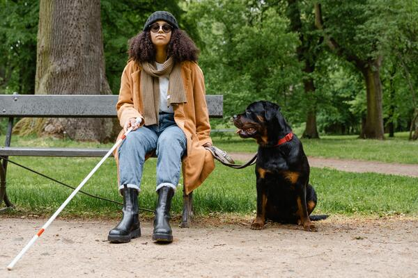 Blind woman sitting on park bench with white cane and black Rottweiler guide dog in Florida showcasing guide dogs in Florida mobility and independence